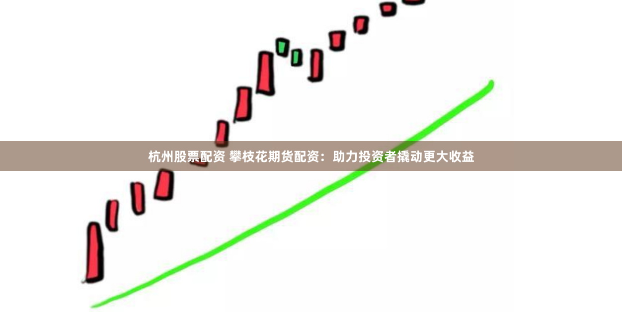 杭州股票配资 攀枝花期货配资：助力投资者撬动更大收益
